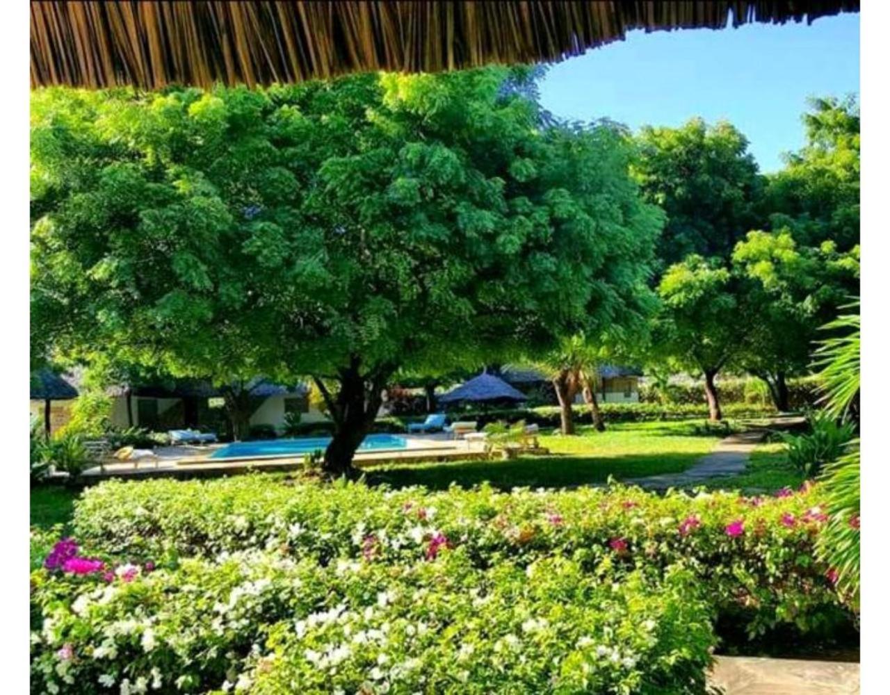 Eco Villas Watamu Exteriör bild