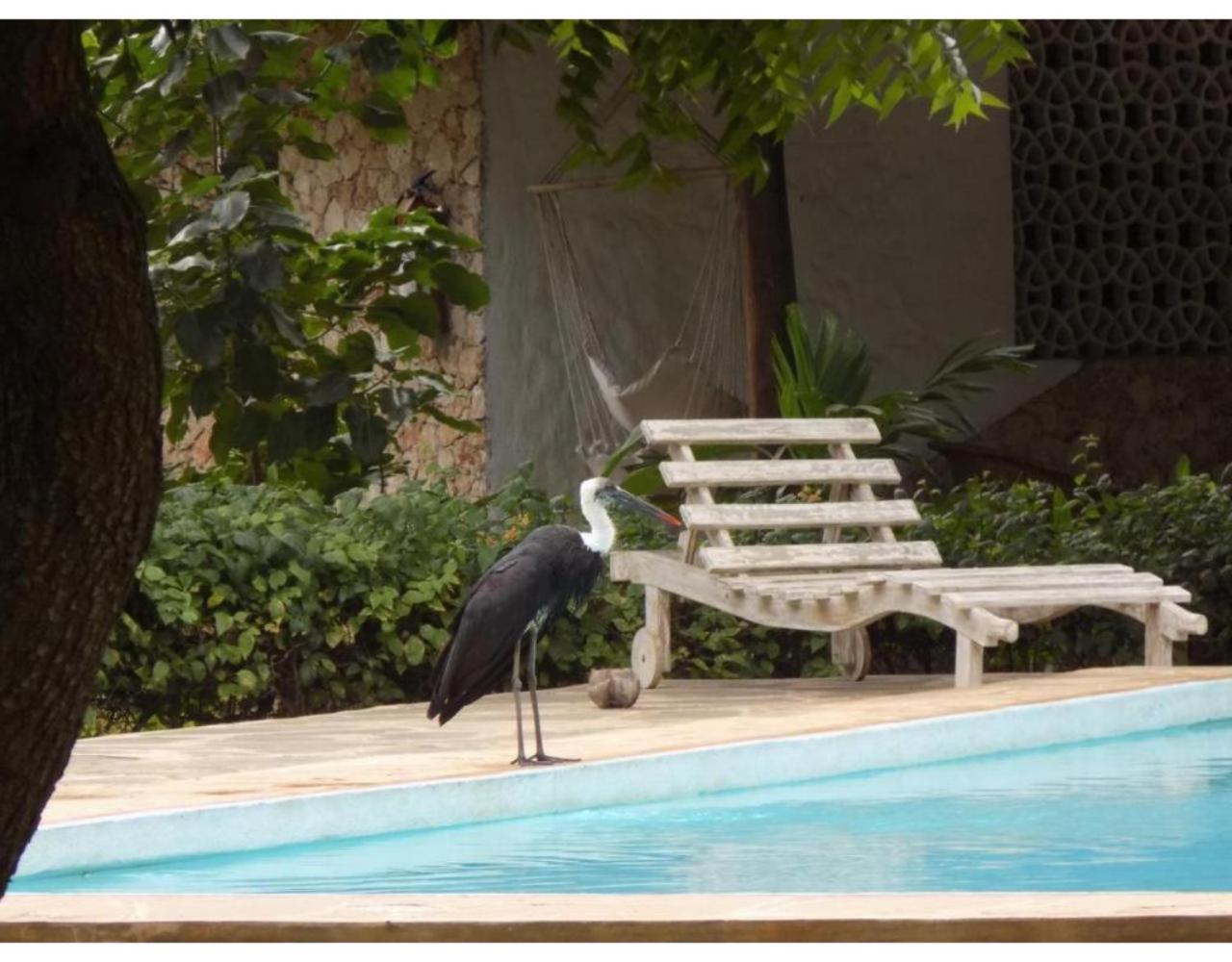 Eco Villas Watamu Exteriör bild
